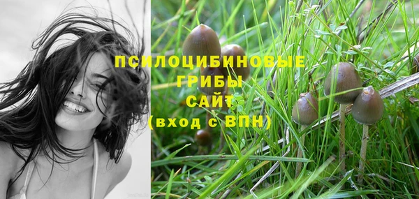кокс Армянск