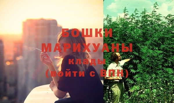 прущие грибы Балабаново