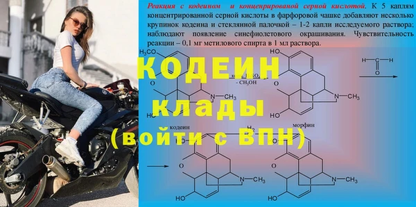 прущие грибы Балабаново