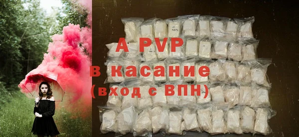 прущие грибы Балабаново