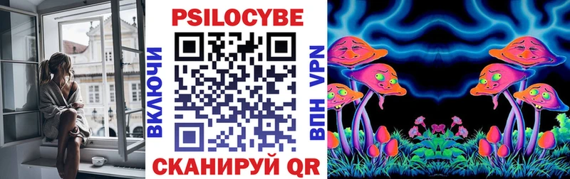 Псилоцибиновые грибы Cubensis  Тара 